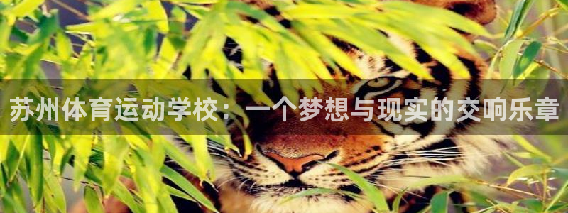 尊龙官方正版app集团:苏州体育运动学校:一个梦想与现实的交