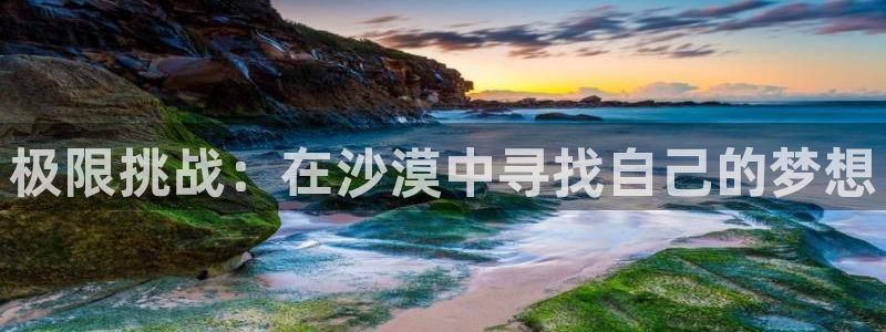 尊龙官网下载平台注册要钱吗是真的吗:极限挑战:在沙漠中寻找自