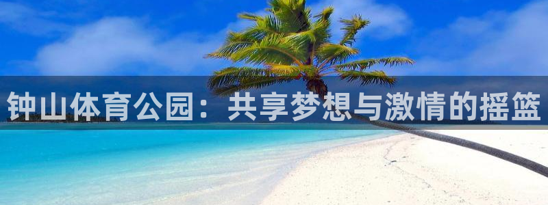 尊龙官网下载是干嘛的公司:钟山体育公园:共享梦想与激情的摇篮